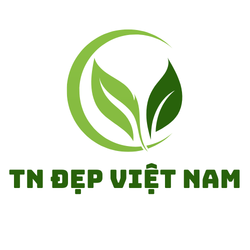 TN ĐẸP VIỆT NAM – Đẹp Từ Gốc, Khỏe Từ Thiên Nhiên