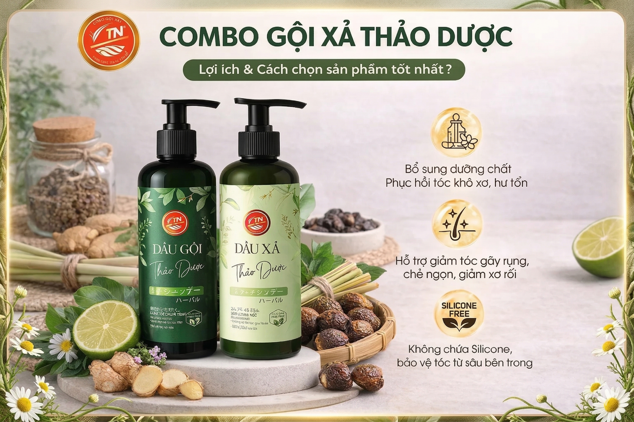 Thảo Dược TN